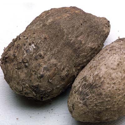 Yams, Name White, lb (In store or curbside pickup only)