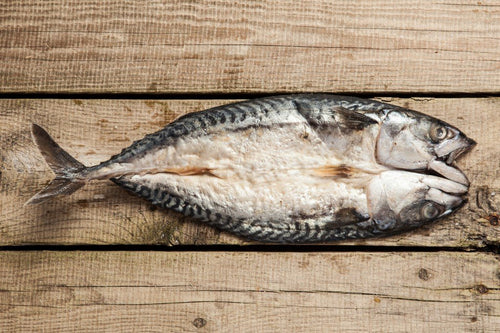 Salt/Pickeled Mackerel, Sea Star lb (In store or curbside pickup only)