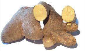 Yellow  Yams, lb (In store or curbside pickup only)